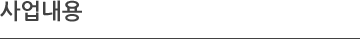 사업내용